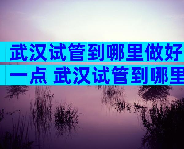 武汉试管到哪里做好一点 武汉试管到哪里做好一点的医院